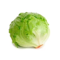Jégsaláta