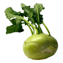 Karalábé magyar