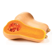 Sütőtök