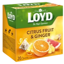 Loyd tea 20x2g Citrus-Gyömbér