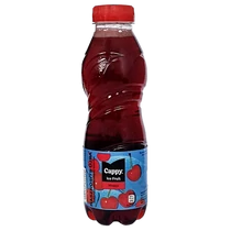 Cappy Ice Fruit 0,5l Meggy