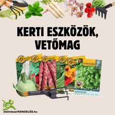 Kerti eszközök, vetőmagok