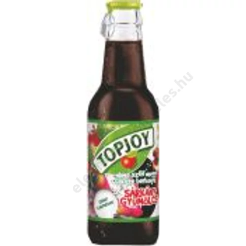 TopJoy 0,25l Sárkánygyümölcs (üveges)