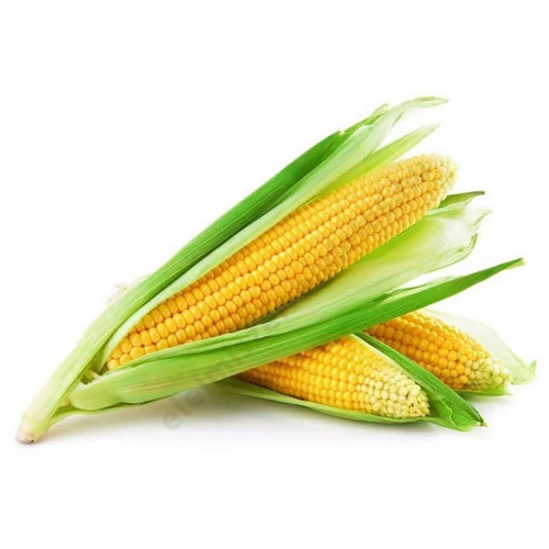 Kukorica csöves