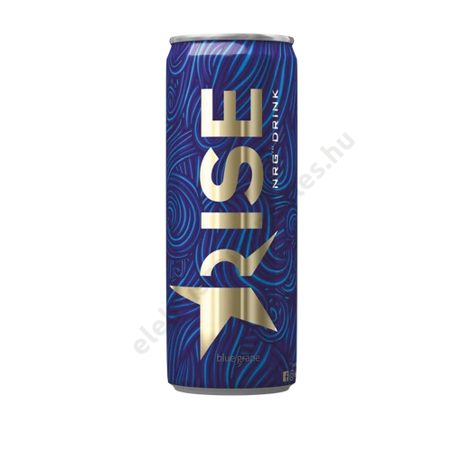 Rise energiaital 250ml BlueGrape