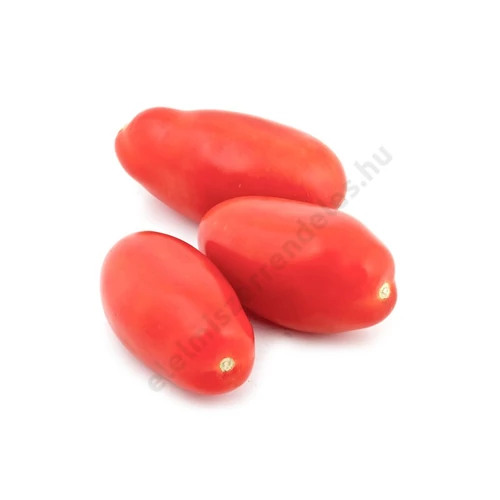Lucullus paradicsom