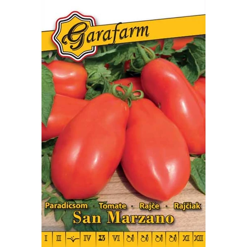 GF fehér Paradicsom San Marzano (21039)