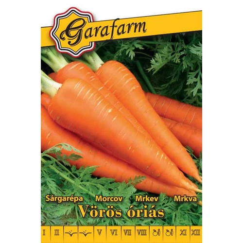 GF fehér Sárgarépa Vörös óriási