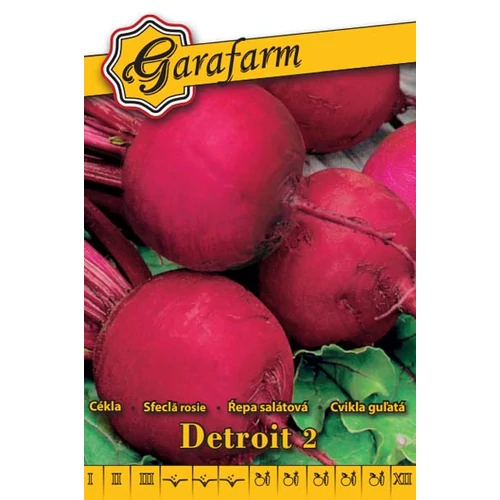 GF fehér Cékla Detroit