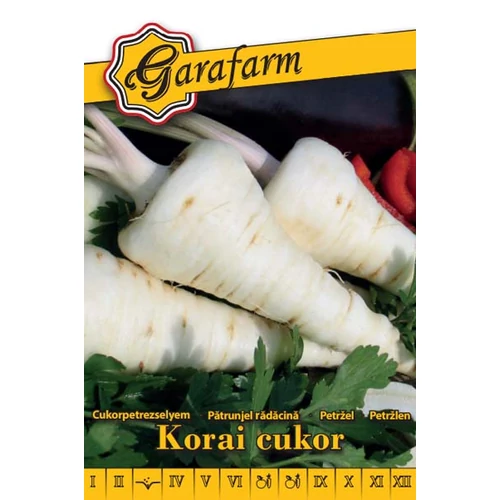 GF fehér Petrezselyem Korai cukor