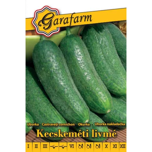 GF fehér Uborka Kecskeméti livmé