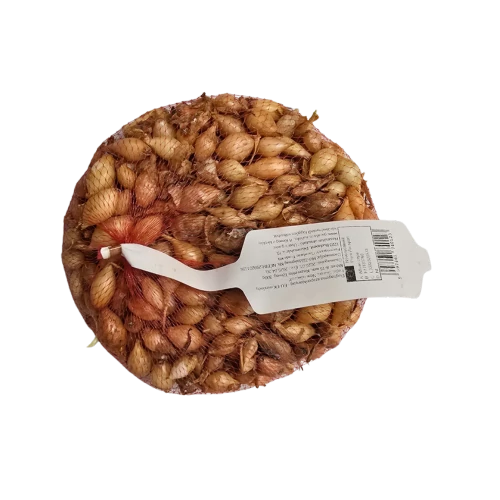 GF Dughagyma hálós Sturon 300g