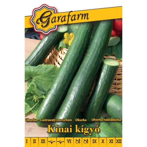 GF fehér Uborka Kínai kígyó
