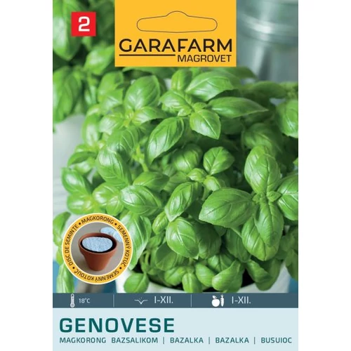 GF prémium Bazsalikom Genovese nagylevelű