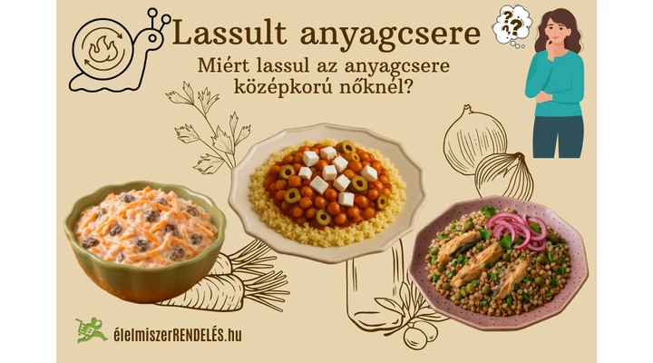 Lassult anyagcsere
