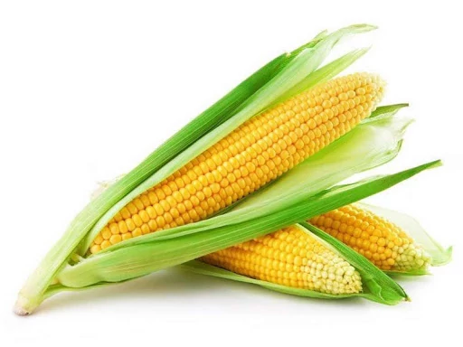 Kukorica csöves