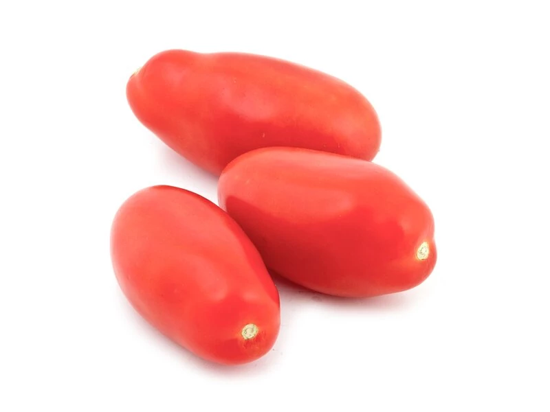 Lucullus paradicsom