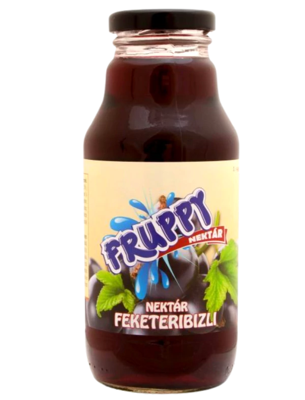 Fruppy ital 330ml Feketeribizli