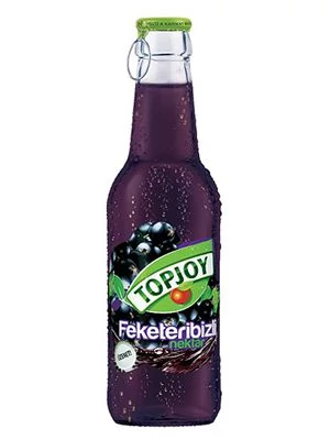 TopJoy 0,25l Feketeribizli