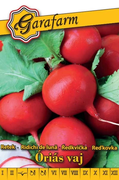 GF fehér Retek Óriás vaj