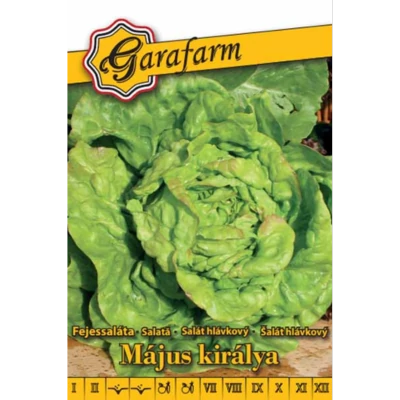 GF fehér Saláta Május királya