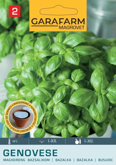 GF prémium Bazsalikom Genovese nagylevelű